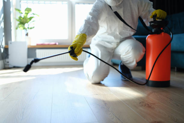 Reliable Odor Removal contractor in Amlin, OH by Trauma Clean Pros